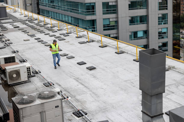 Best Roof Leak Repair  in Cactus Flats, AZ
