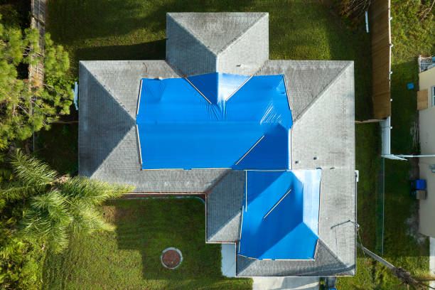 Best Storm Damage Roof Repair  in Cactus Flats, AZ