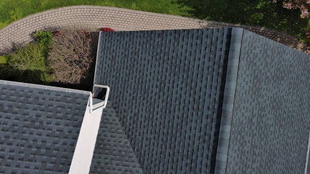 Best Gutter Installation and Repair  in Cactus Flats, AZ