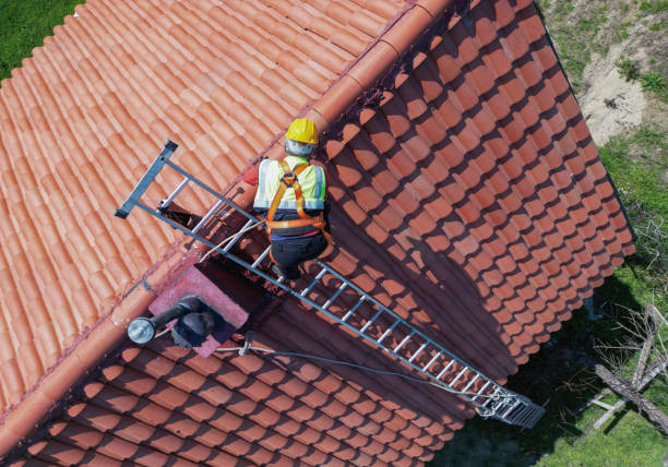 Best Roof Installation  in Cactus Flats, AZ