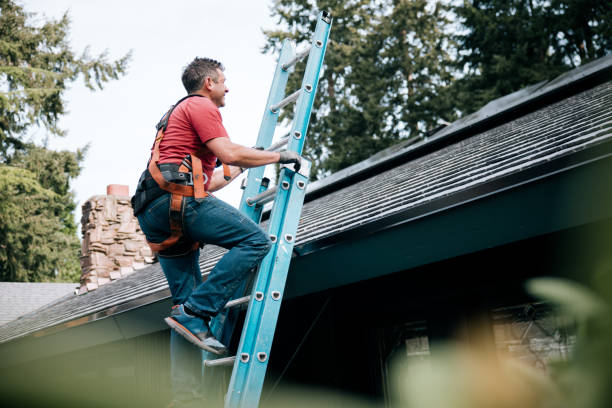 Best Roof Installation  in Cactus Flats, AZ